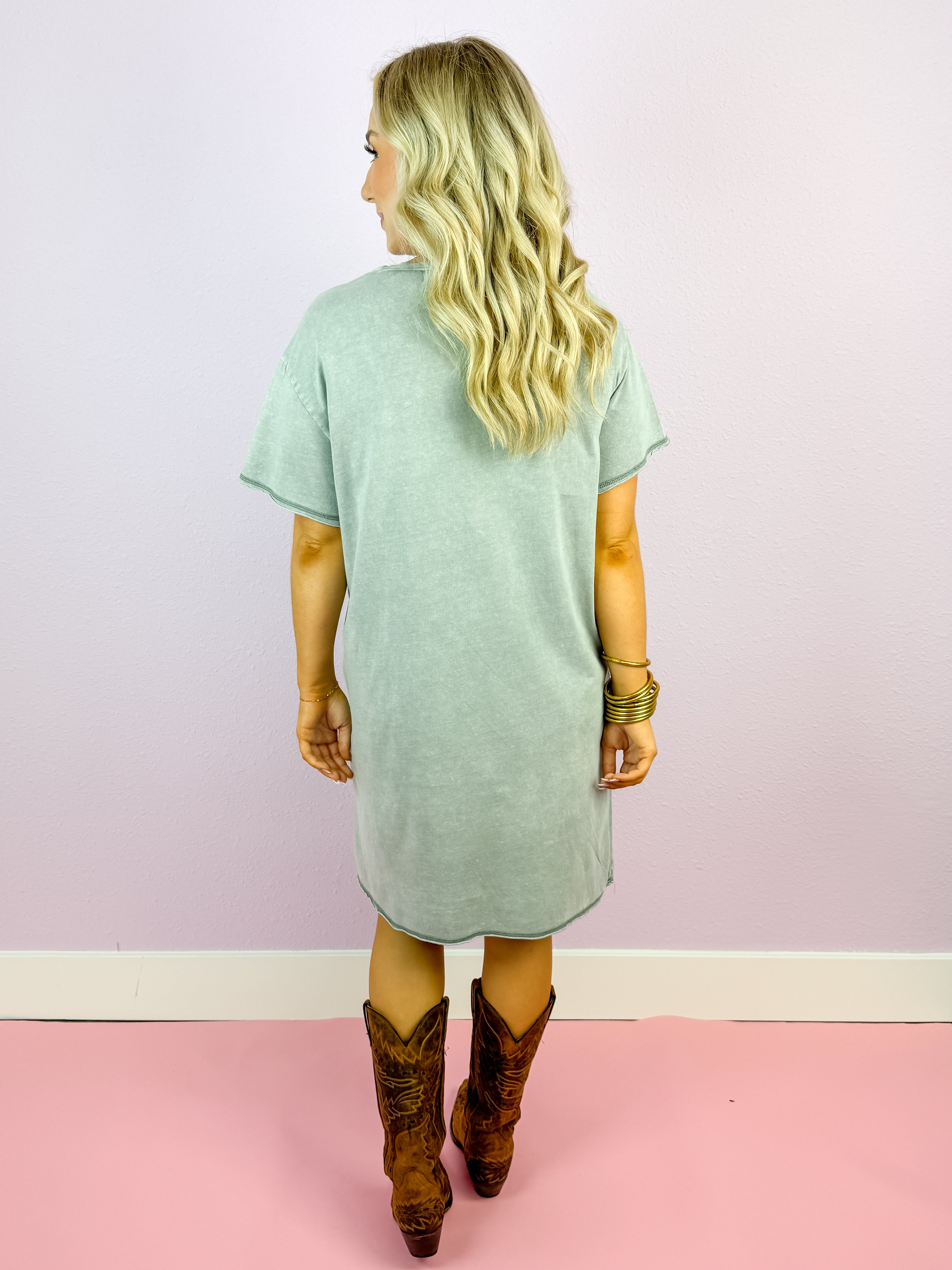 Horse Crew Neck Embroidered TShirt Dress