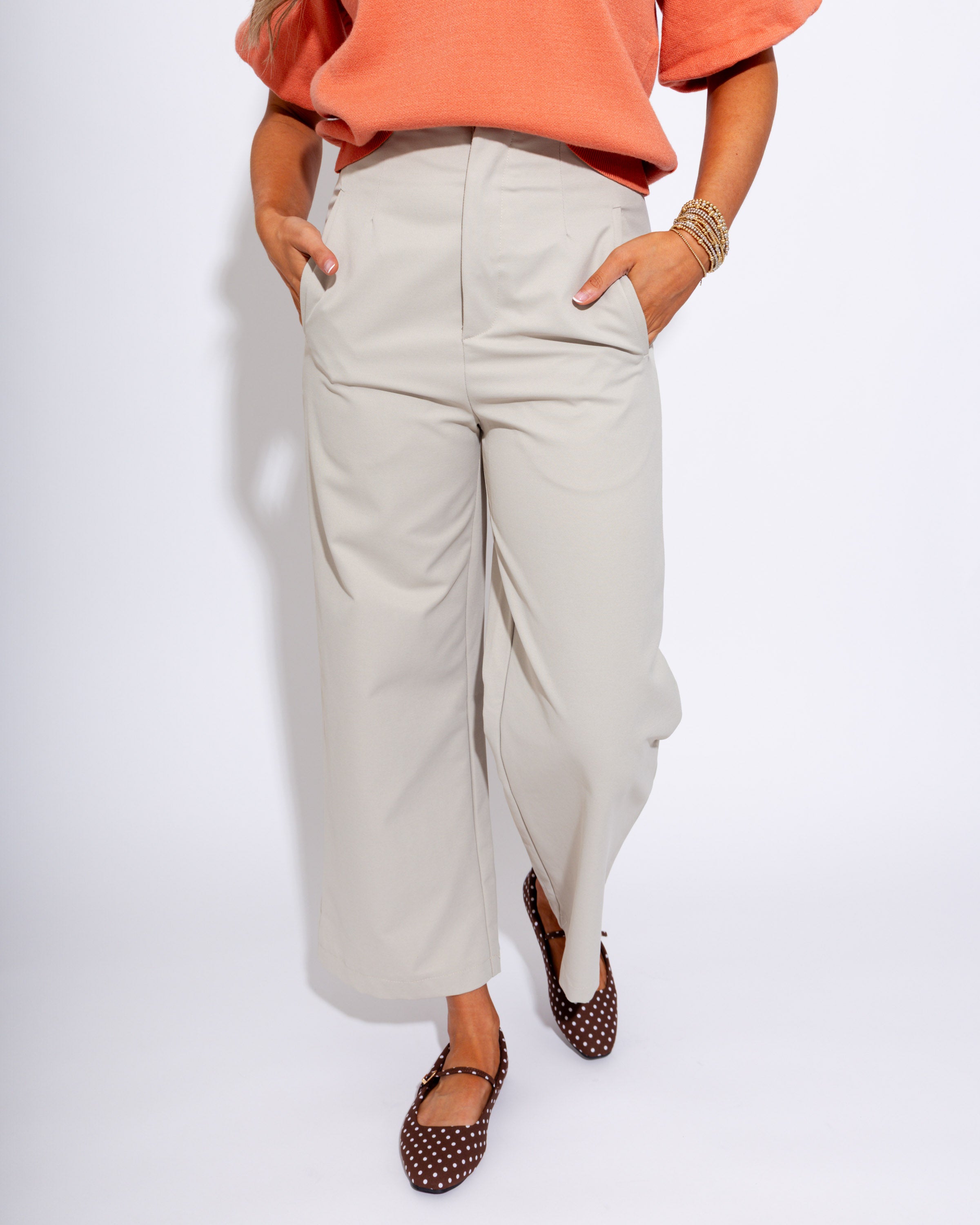Sleek Sophisticated Wide Leg Pants in Beige