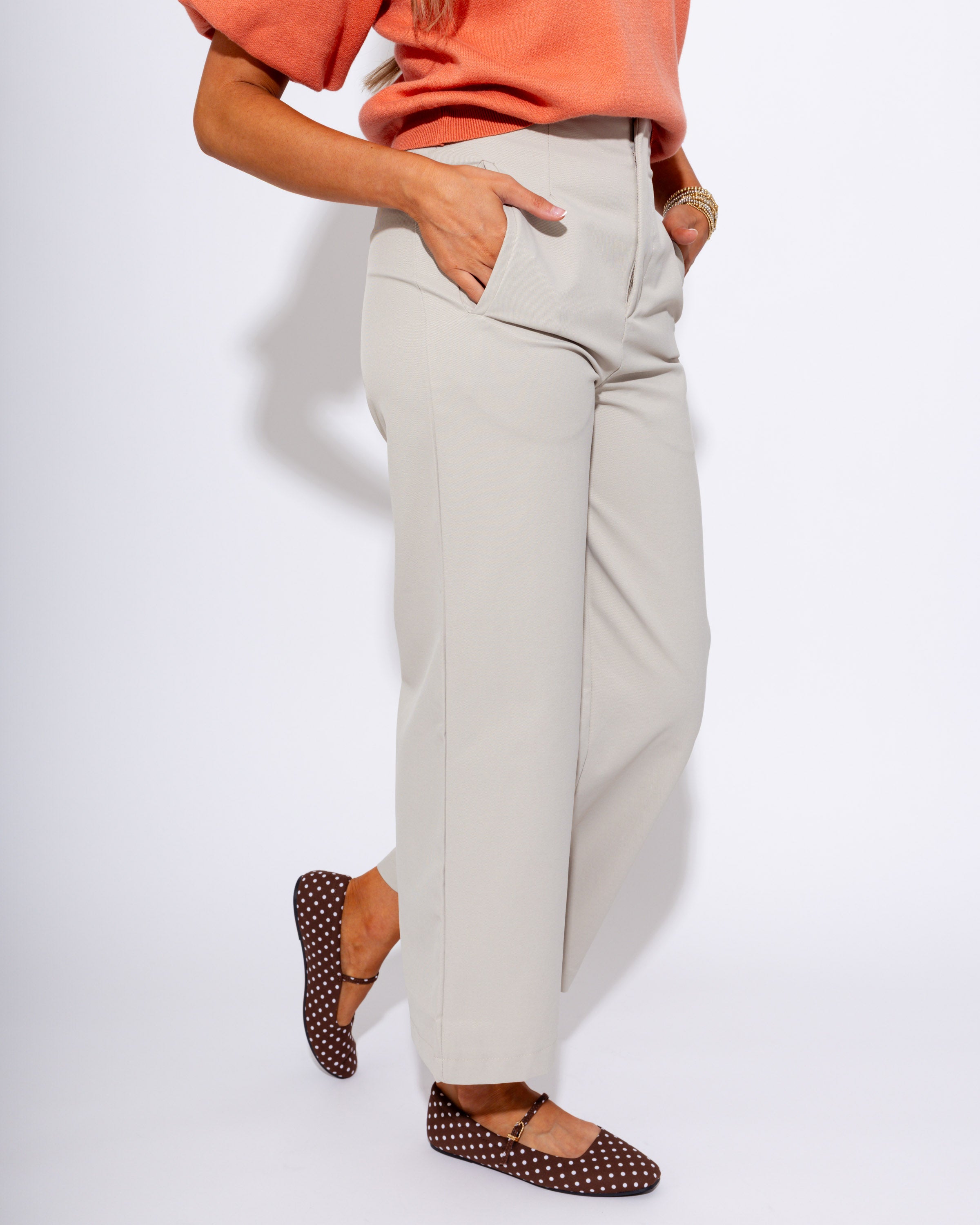 Sleek Sophisticated Wide Leg Pants in Beige