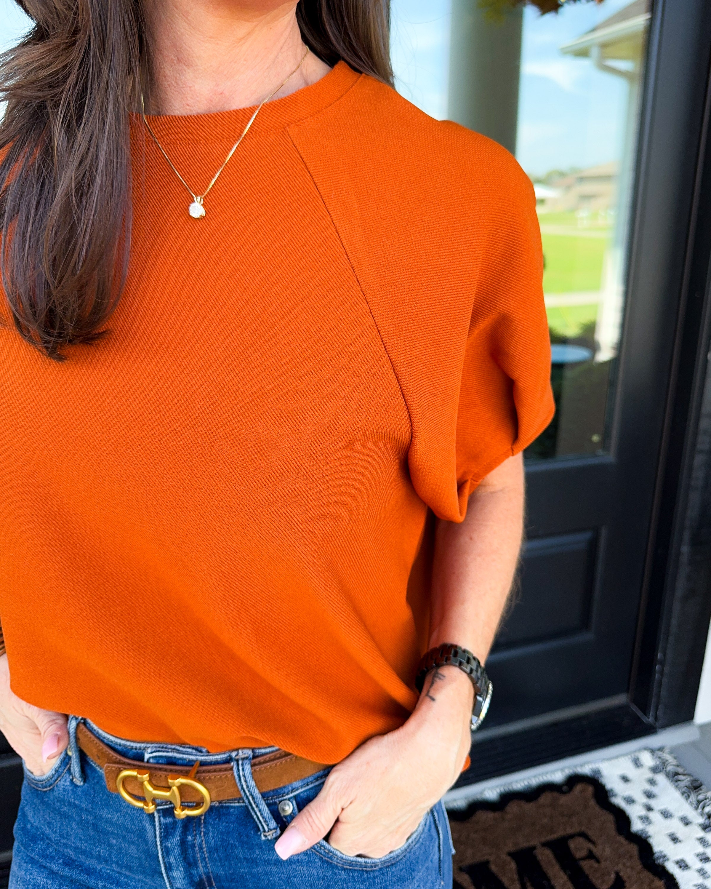 Pleated Puff Sleeve Top in Rust