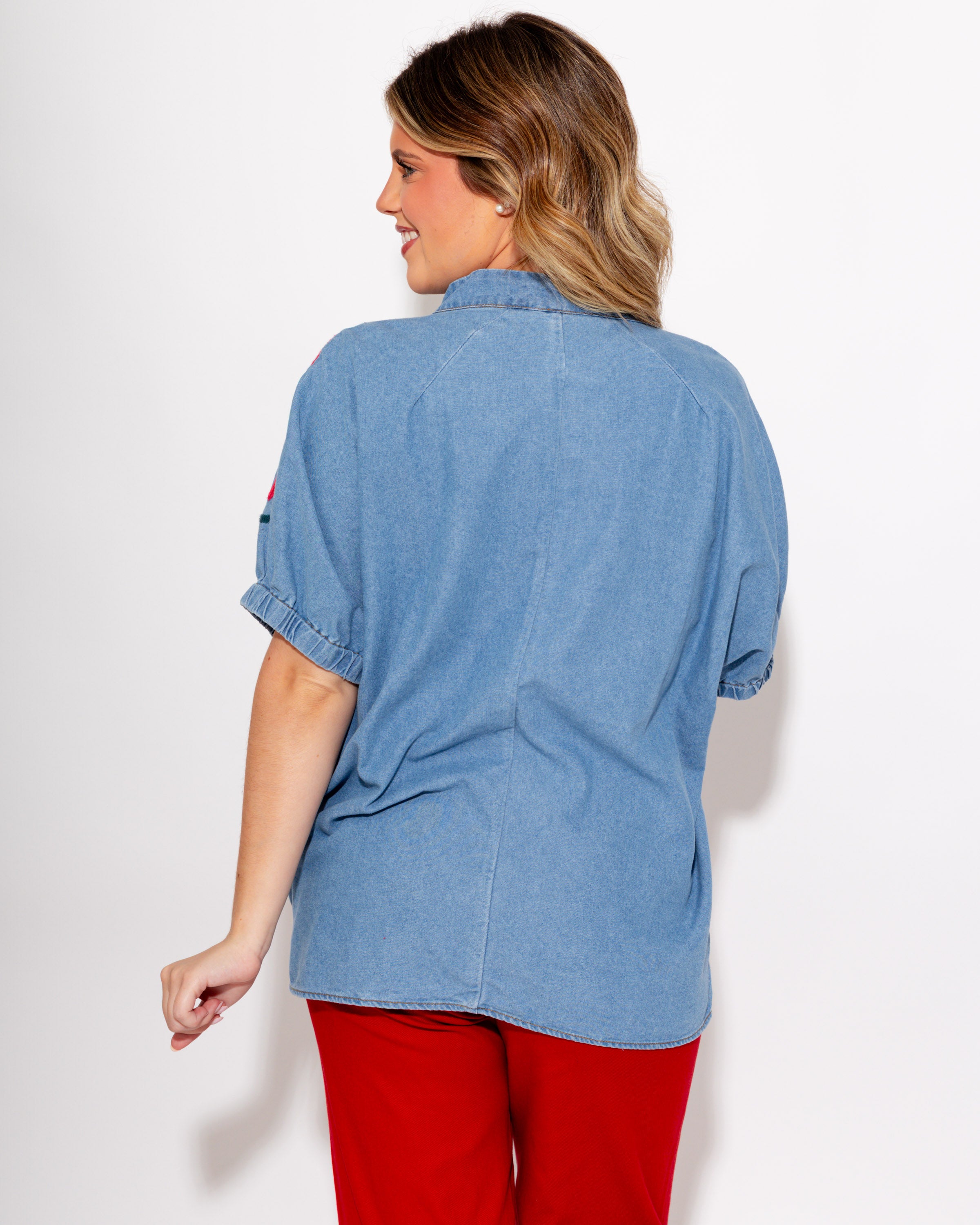 Embroidered Denim Puff Sleeve Top
