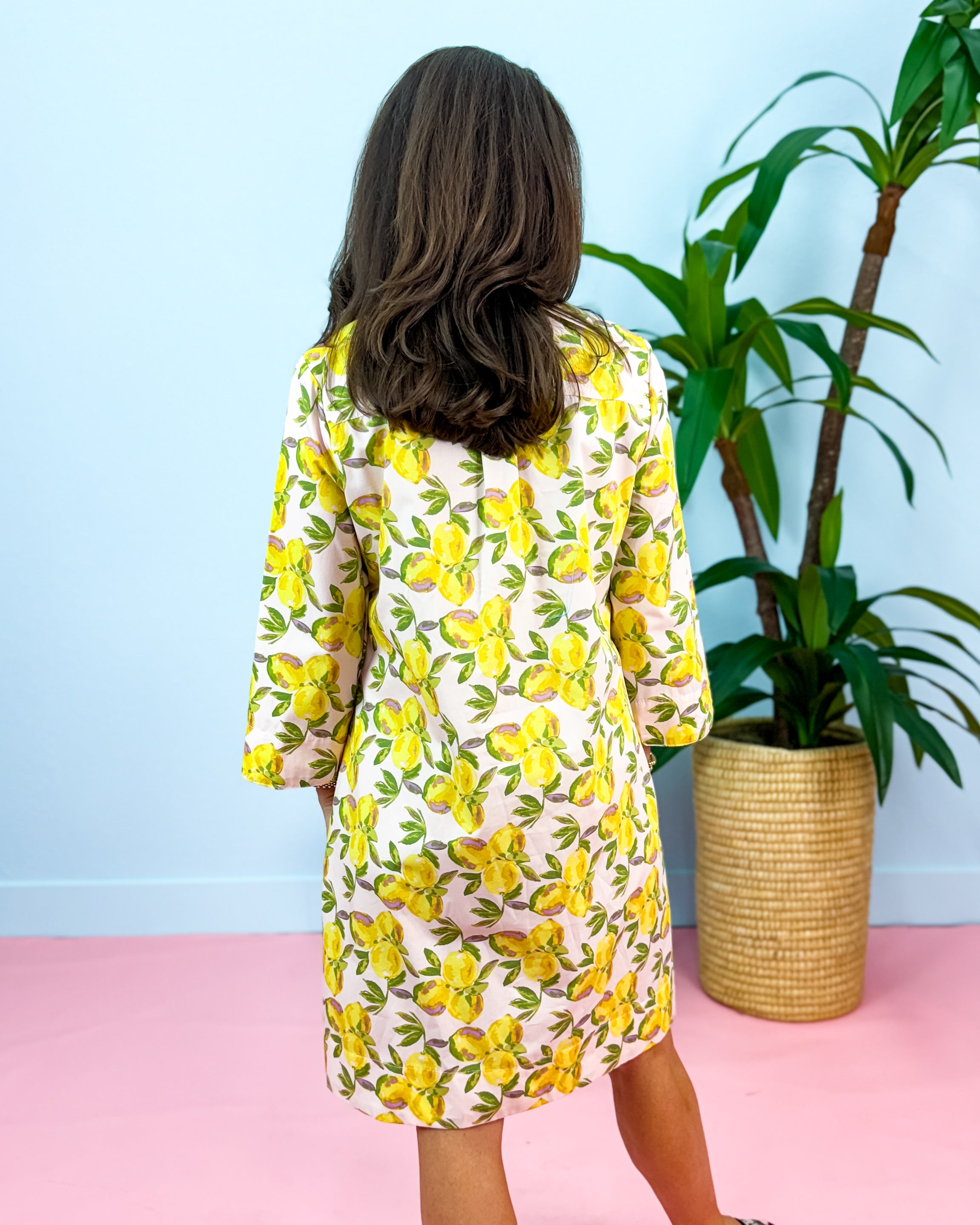 Ivy Jane | Pink Lemonade Dress