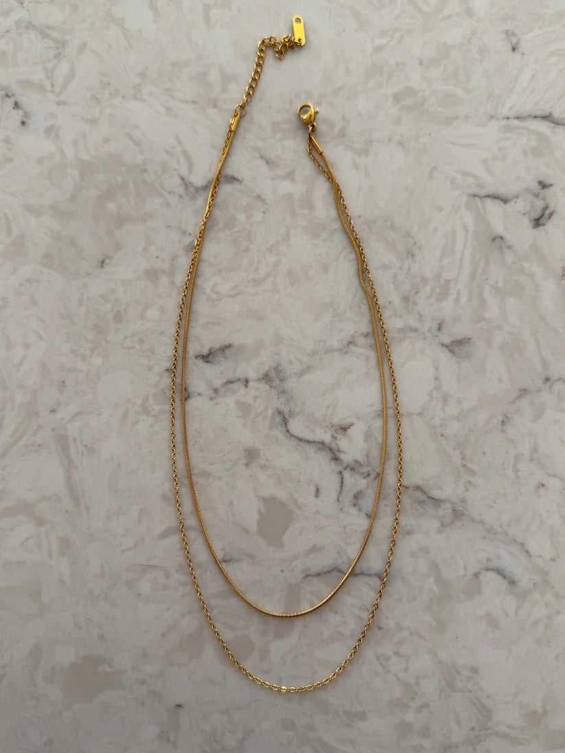 Double Layered Necklace