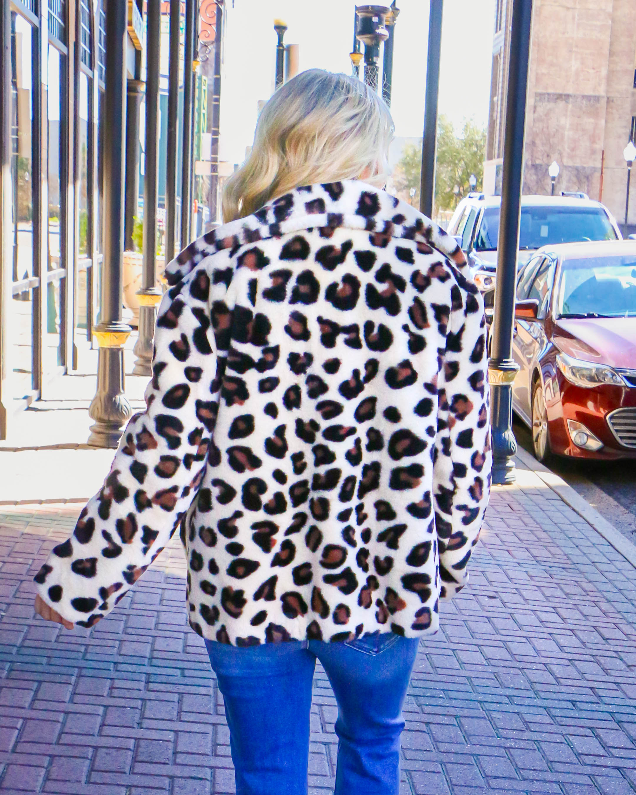 Ivy Jane | Chasing My Dreams Fur Jacket