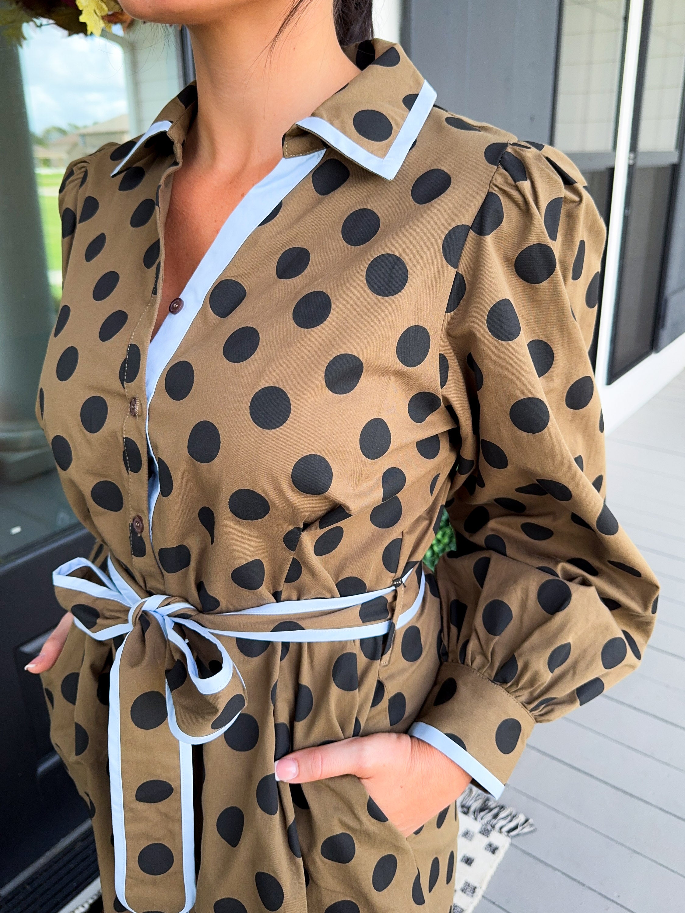 Polka Dot Waist Tie Mini
