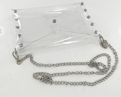 The Clear Choice Crossbody Bag in Silver