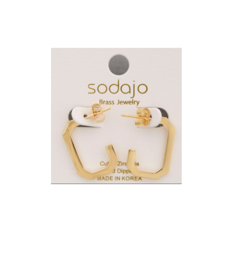 Hexagon Hoop Earrings