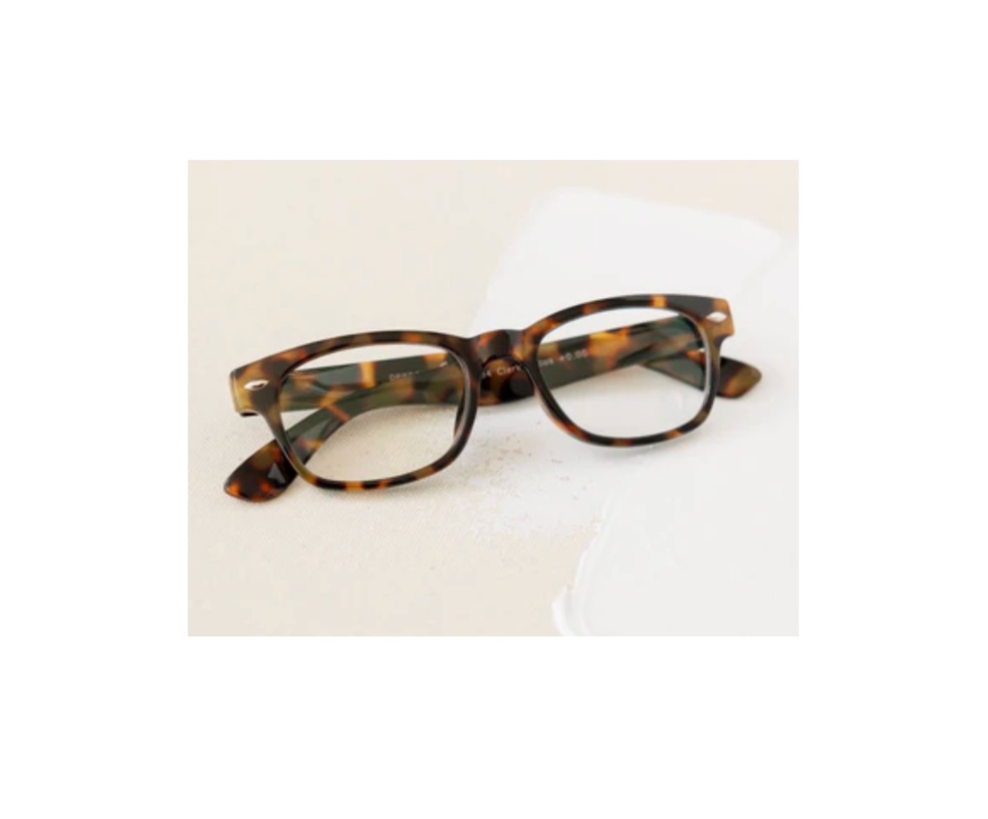 Clark Focus Tortoise