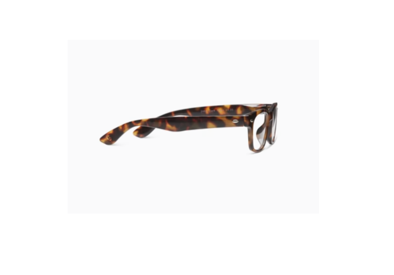 Clark Focus Tortoise