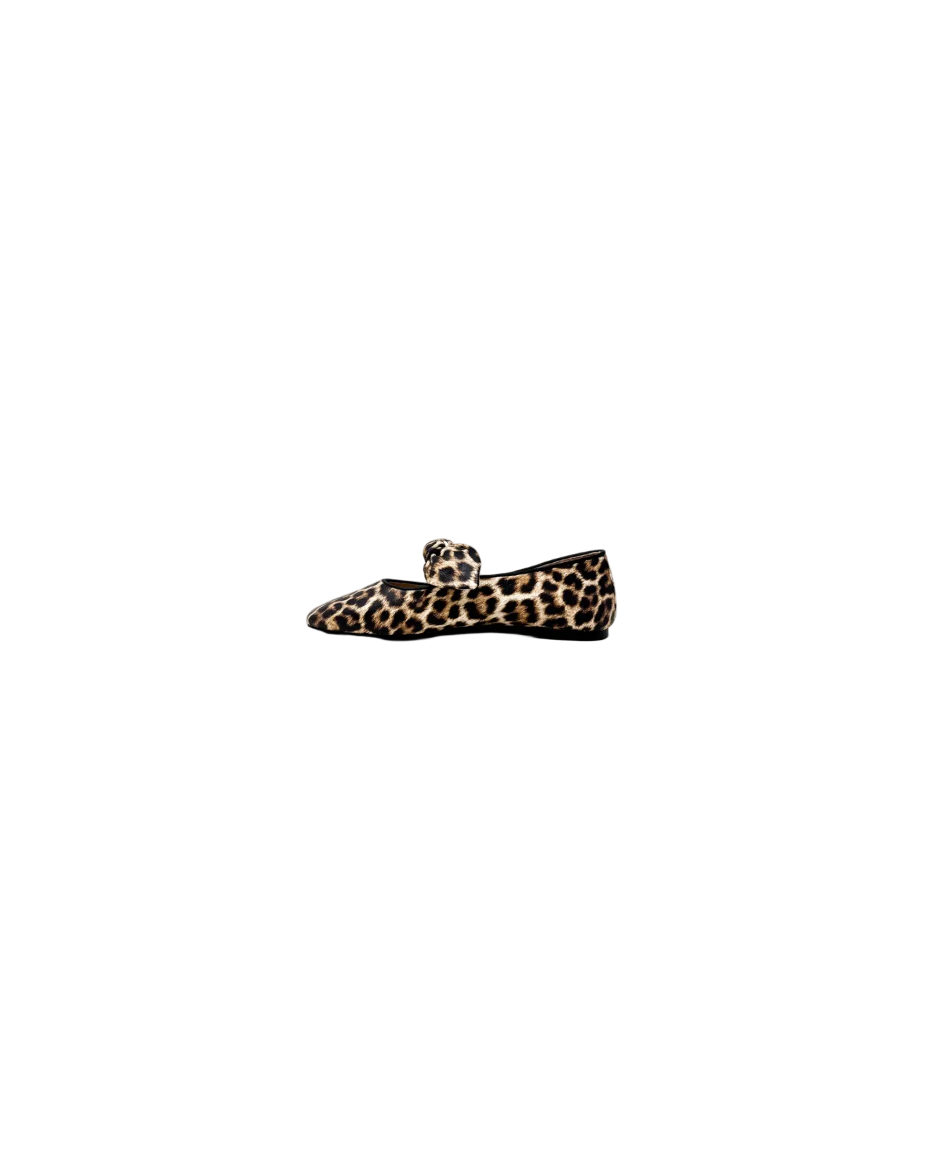 April Flat in Leopard