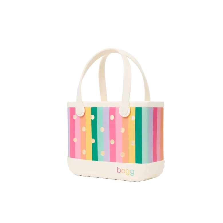 Bitty Bogg Bag in Color burst