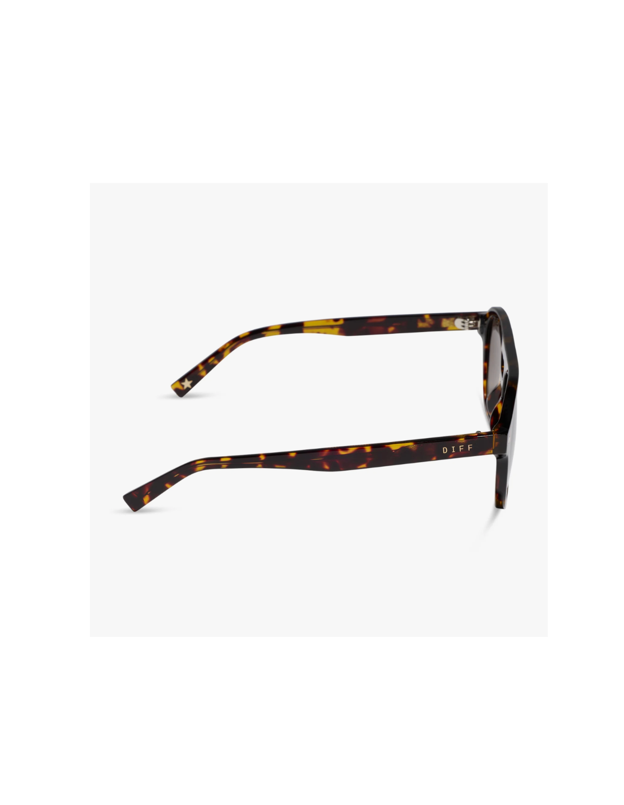 The Coast- Tortoise Brown Gradient + Polarized Sunglasses