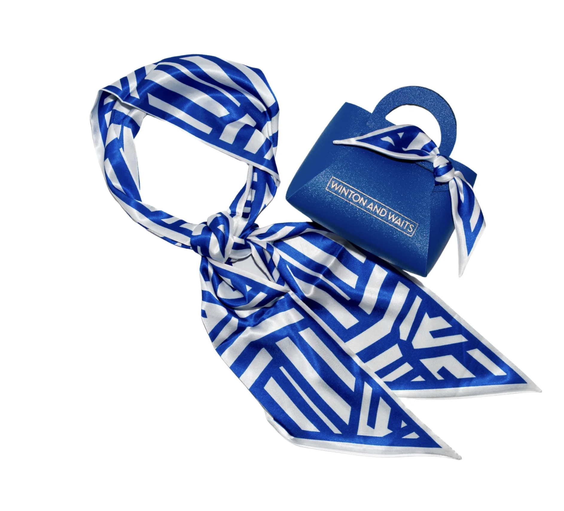 Game Day Accessory Scarf - Blue & White