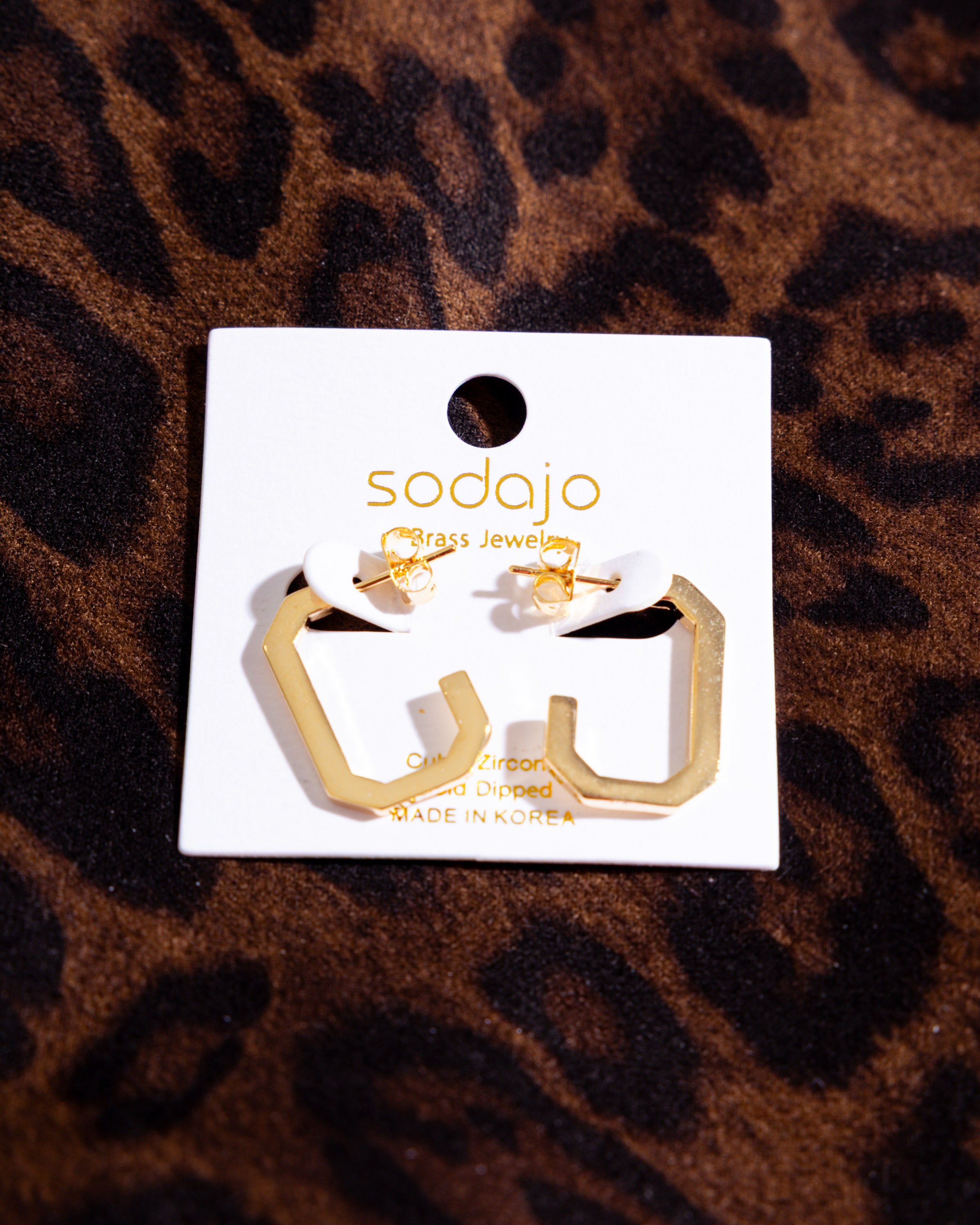 Hexagon Hoop Earrings