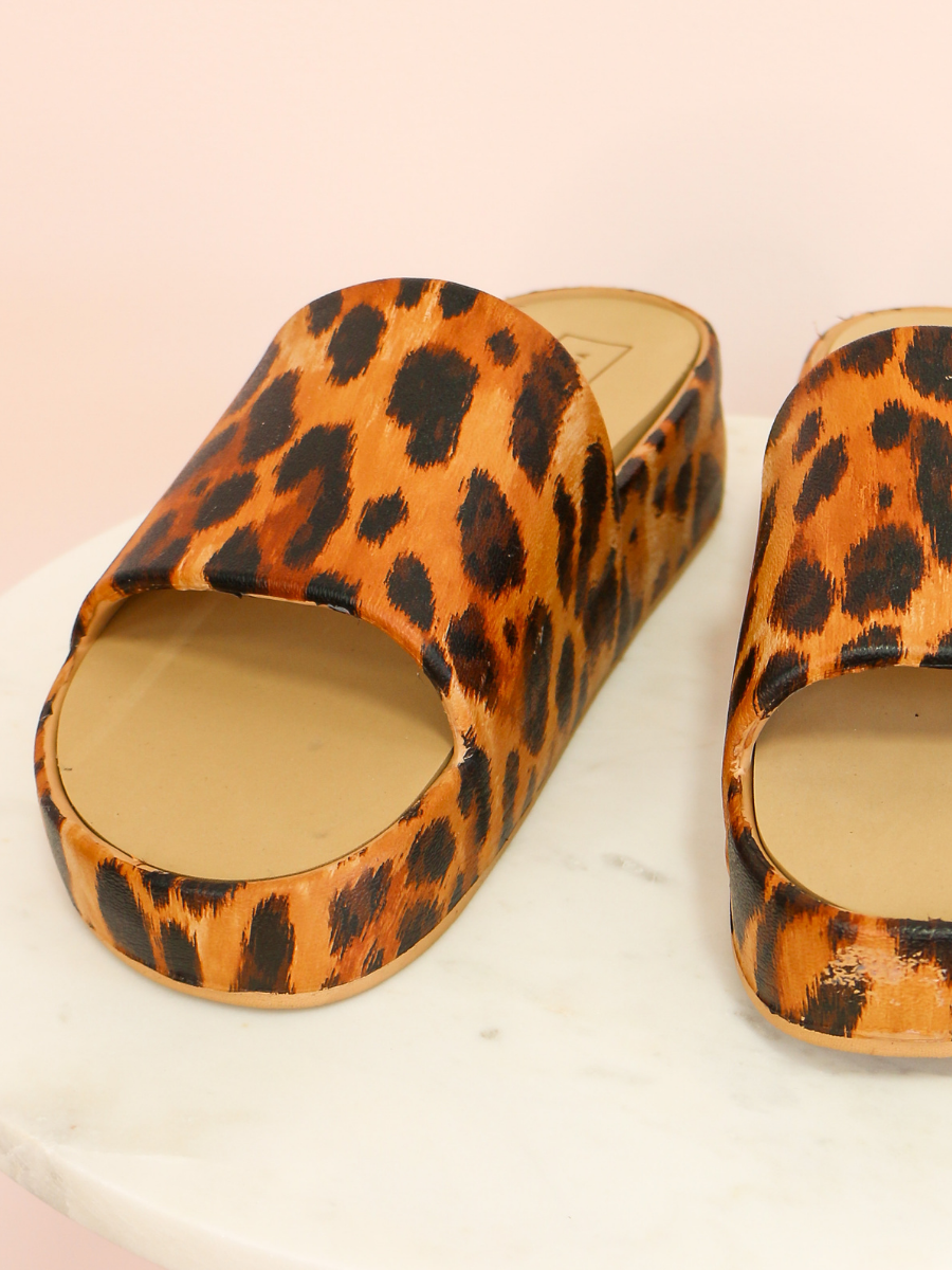 Torrey Slides in Leopard