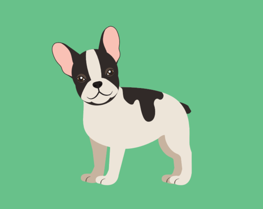 Frenchie French for Kids
