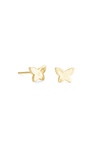BF Lillia Butterfly Stud Earrings in Gold